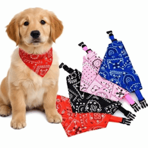 Combo x3 Collar con pañoleta con broches